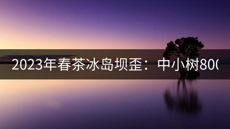 2023年春茶冰島壩歪：中小樹800元／公斤，古樹1400-1600元／公斤