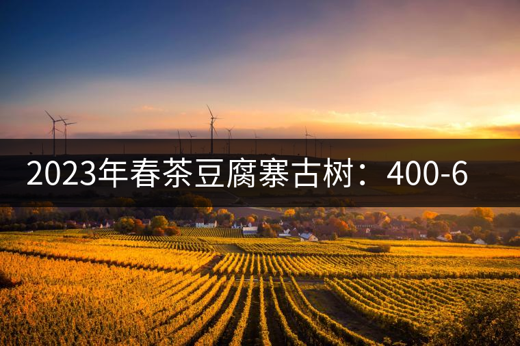 2023年春茶豆腐寨古樹(shù):400-600元/公斤 2023年春茶豆腐寨古樹(shù):400-600元/公斤
