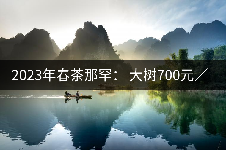 2023年春茶那罕： 大樹(shù)700元／公斤，古樹(shù)：1200-1600元／公斤