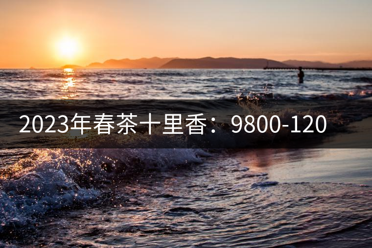2023年春茶十里香：9800-12000元／公斤，十里香紅茶：9800-12000元／公斤