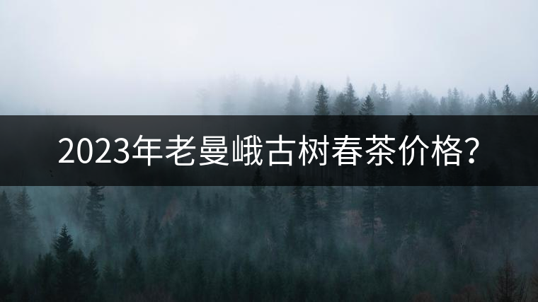 2023年老曼峨古樹春茶價格？