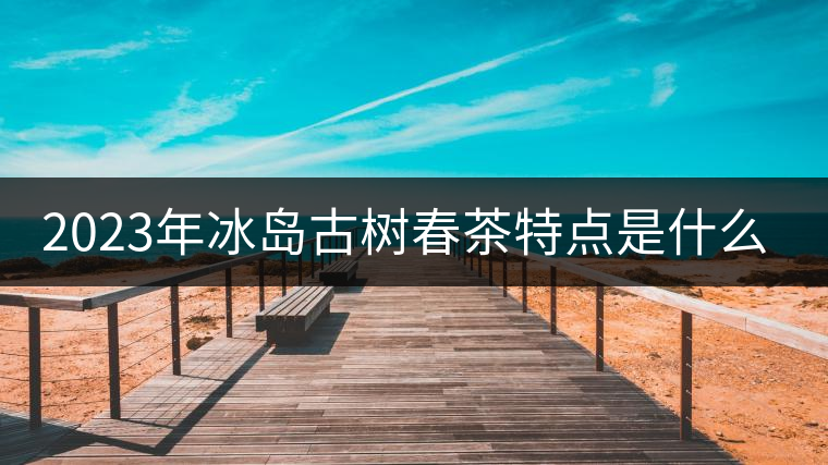 2023年冰島古樹春茶特點(diǎn)是什么？