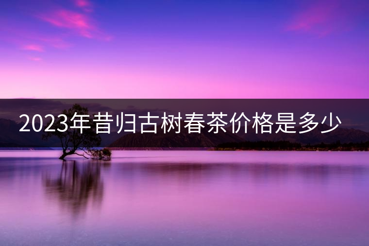 2023年昔歸古樹春茶價格是多少？
