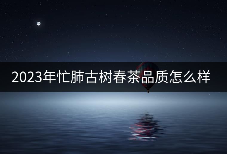 2023年忙肺古樹(shù)春茶品質(zhì)怎么樣？