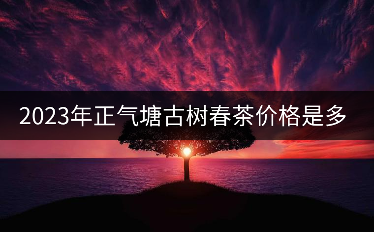 2023年正氣塘古樹春茶價(jià)格是多少? 2023年正氣塘古樹春茶價(jià)格是多少?