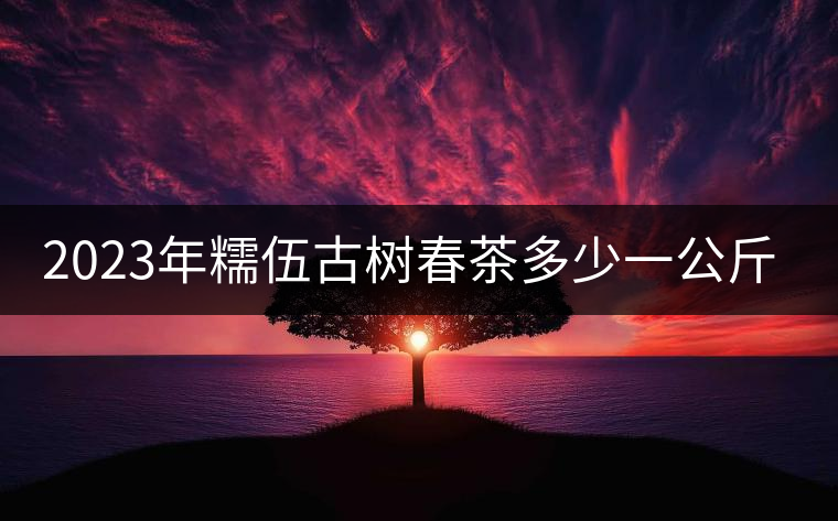2023年糯伍古樹(shù)春茶多少一公斤？
