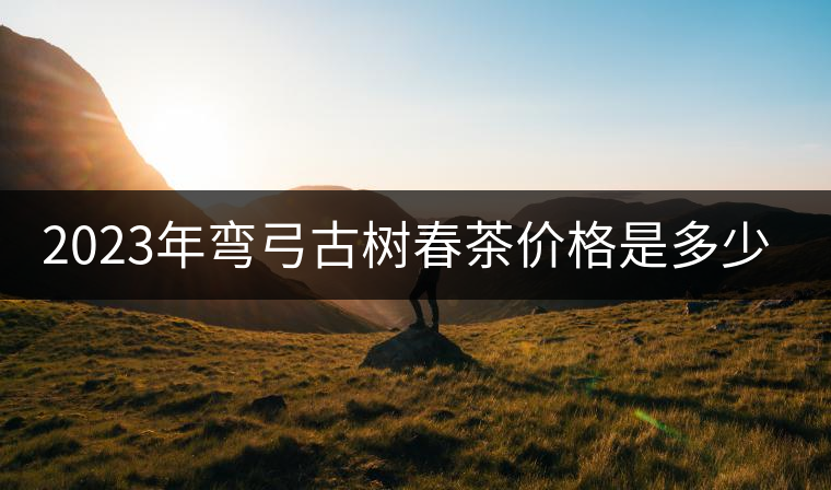 2023年彎弓古樹春茶價格是多少？