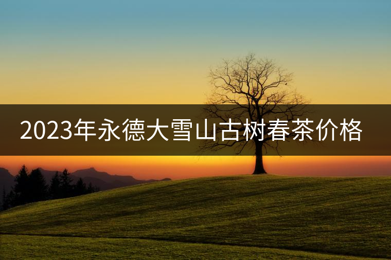 2023年永德大雪山古樹(shù)春茶價(jià)格是多少？