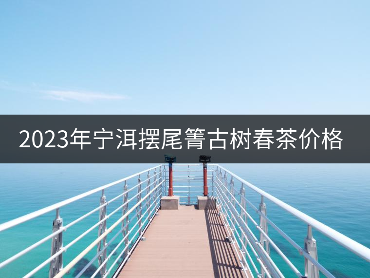 2023年寧洱擺尾箐古樹春茶價(jià)格是多少？
