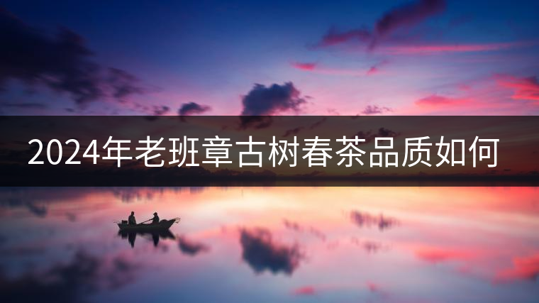 2024年老班章古樹春茶品質(zhì)如何？