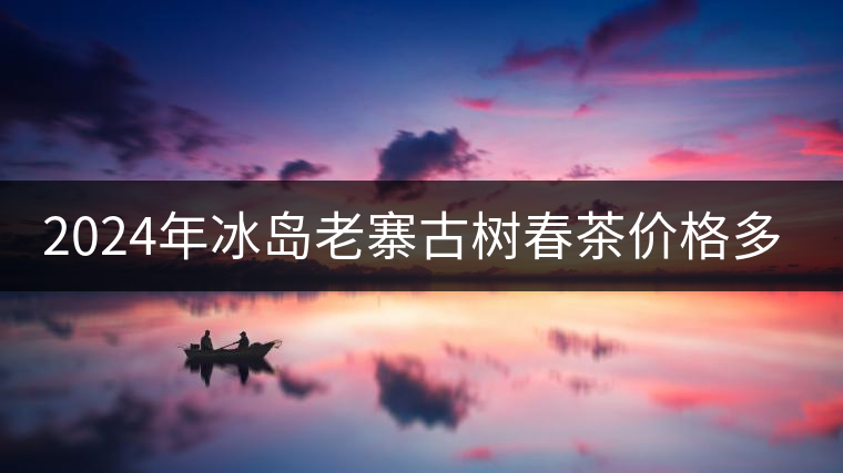 2024年冰島老寨古樹春茶價格多少？
