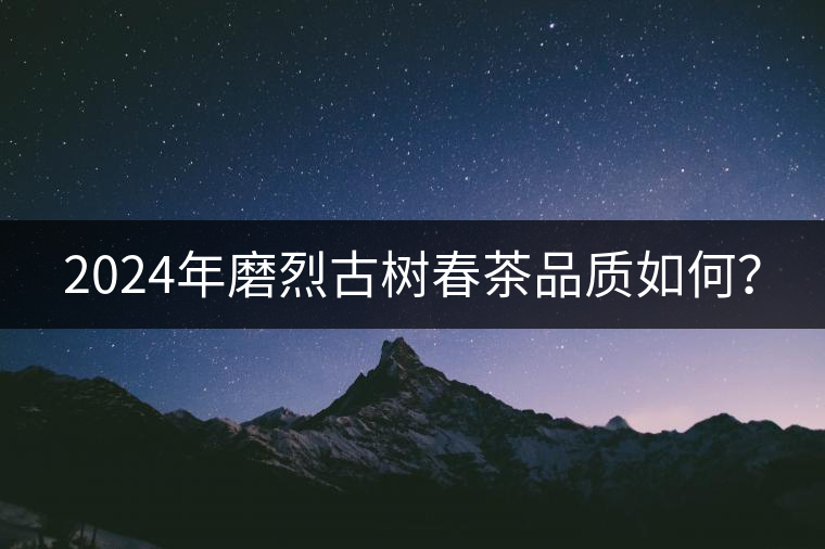 2024年磨烈古樹春茶品質(zhì)如何？