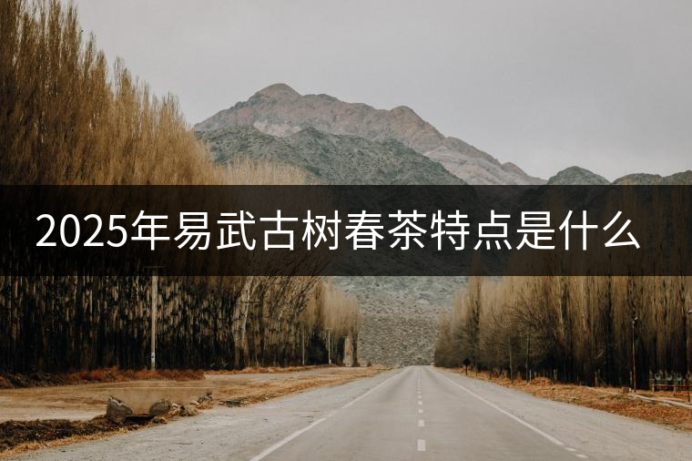 2025年易武古樹(shù)春茶特點(diǎn)是什么？