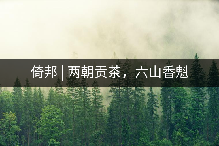 倚邦 | 兩朝貢茶，六山香魁