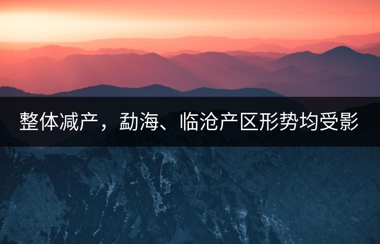 整體減產，勐海、臨滄產區(qū)形勢均受影響