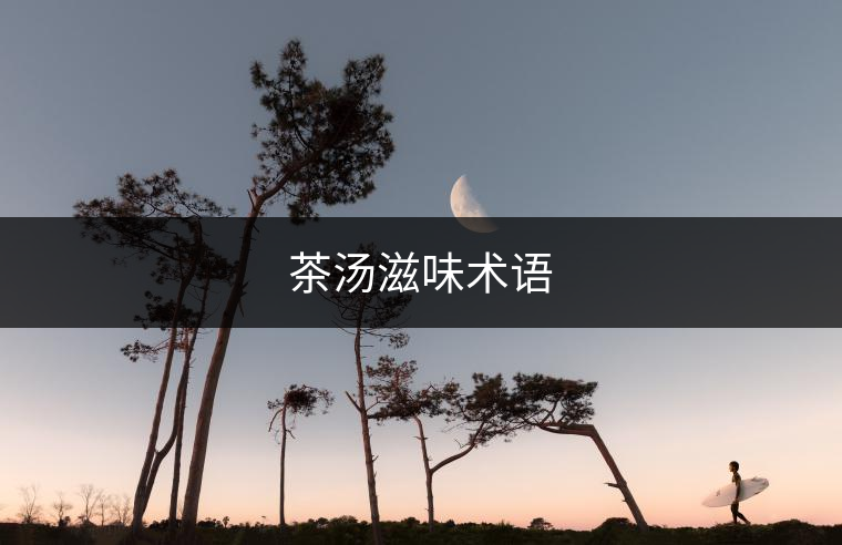 茶湯滋味術(shù)語