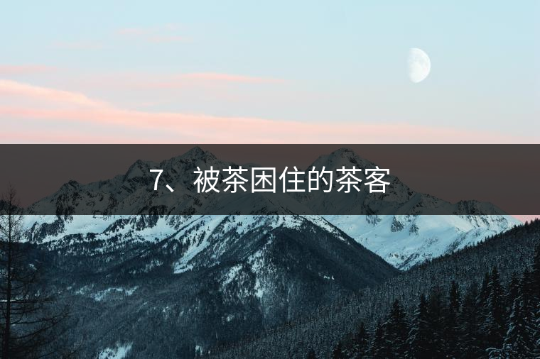 7、被茶困住的茶客