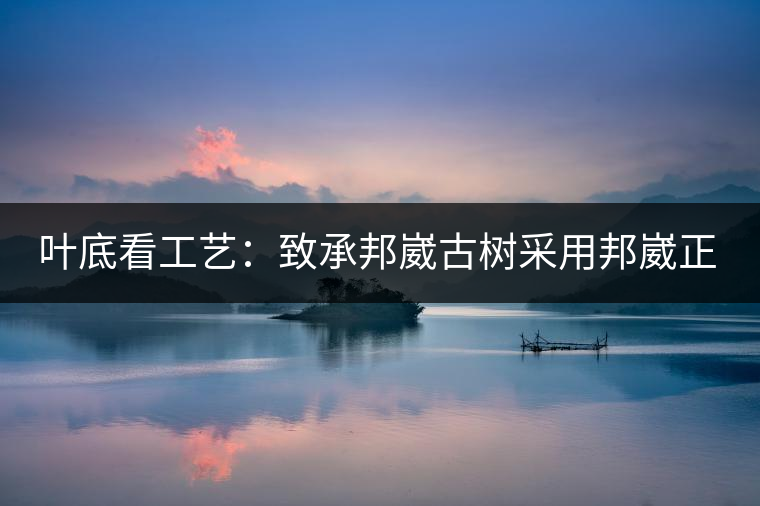 葉底看工藝：致承邦崴古樹采用邦崴正山三百至五百年古茶樹頭春鮮葉。經(jīng)手工殺青，石墨壓制，餅型周正，嚴(yán)守傳統(tǒng)工藝；葉底鮮活，幾乎無糊點(diǎn)，前期殺青較輕，這樣更利于后期轉(zhuǎn)化。