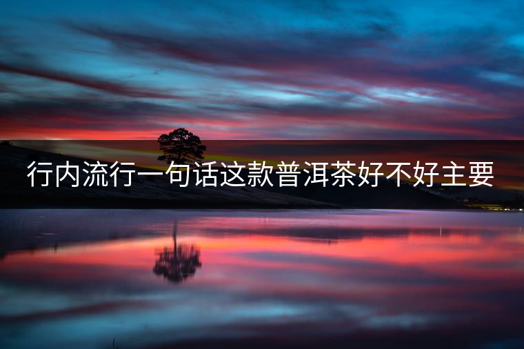 行內(nèi)流行一句話這款普洱茶好不好主要還看尾水，雖然比較片面但是也有一定道理。