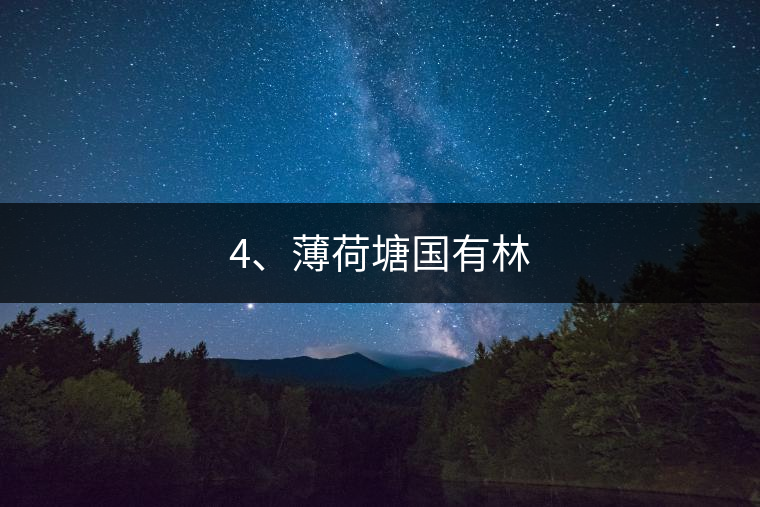 4、薄荷塘國有林