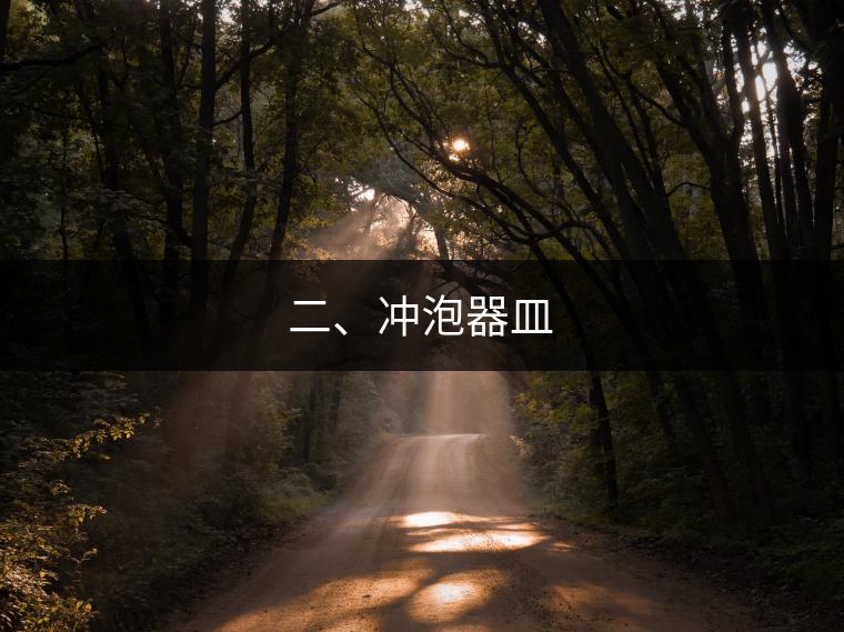 二、沖泡器皿