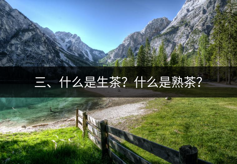 三、什么是生茶？什么是熟茶？