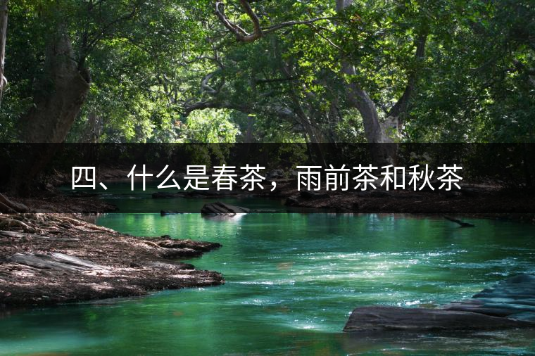 四、什么是春茶，雨前茶和秋茶