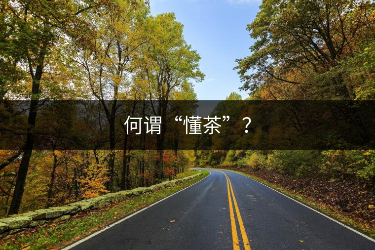何謂“懂茶”？