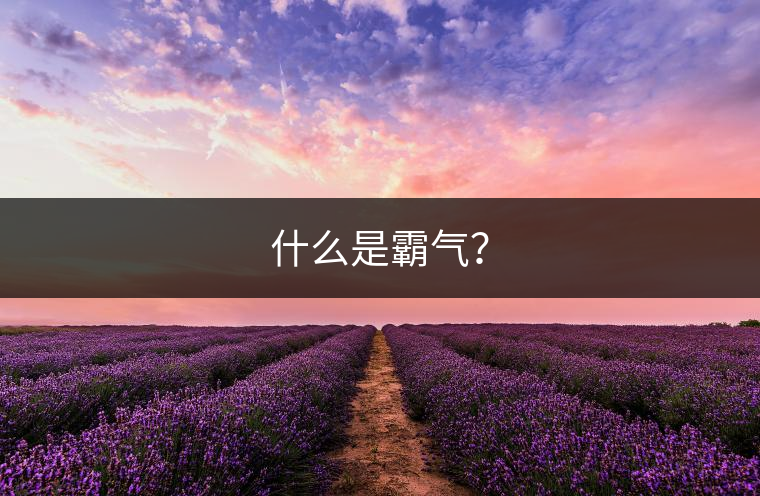 什么是霸氣？