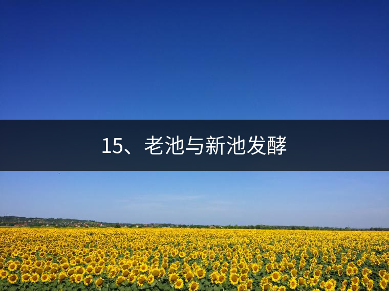 15、老池與新池發(fā)酵