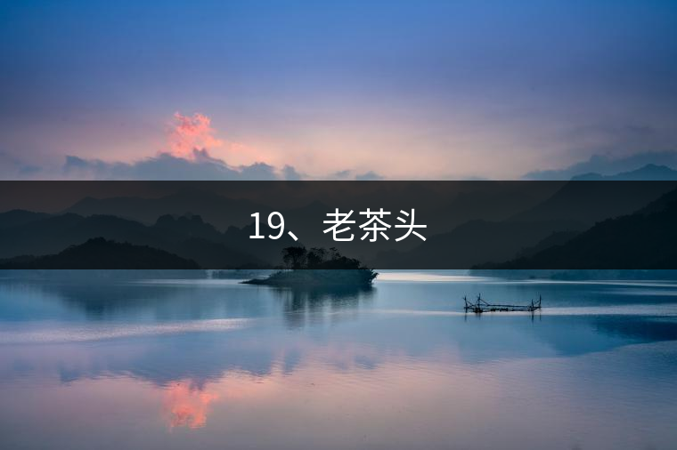 19、老茶頭