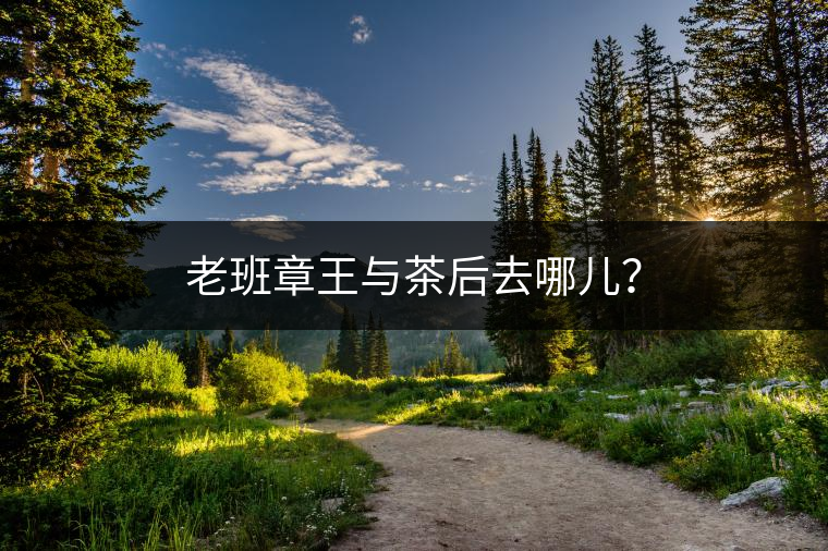 老班章王與茶后去哪兒？