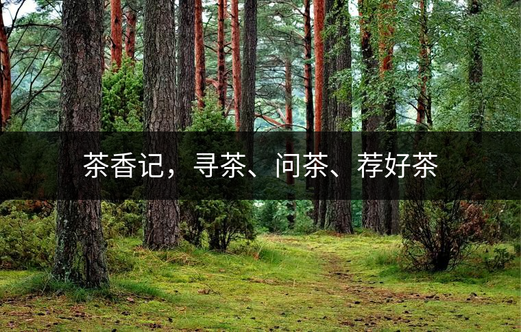 茶香記，尋茶、問茶、薦好茶