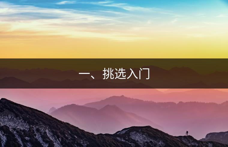 一、挑選入門