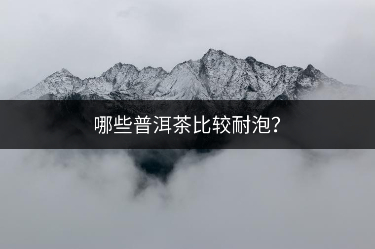 哪些普洱茶比較耐泡？