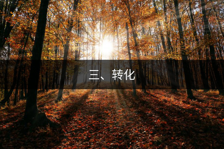 三、轉(zhuǎn)化