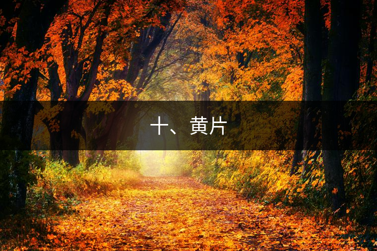 十、黃片
