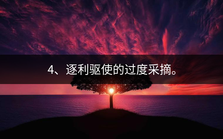 4、逐利驅(qū)使的過度采摘。