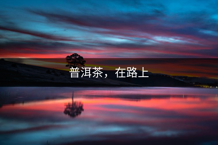 普洱茶，在路上