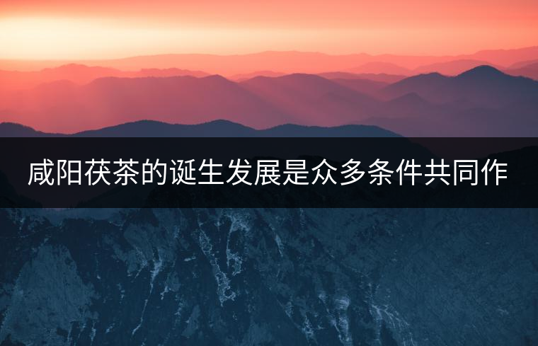 咸陽(yáng)茯茶的誕生發(fā)展是眾多條件共同作用的結(jié)果。