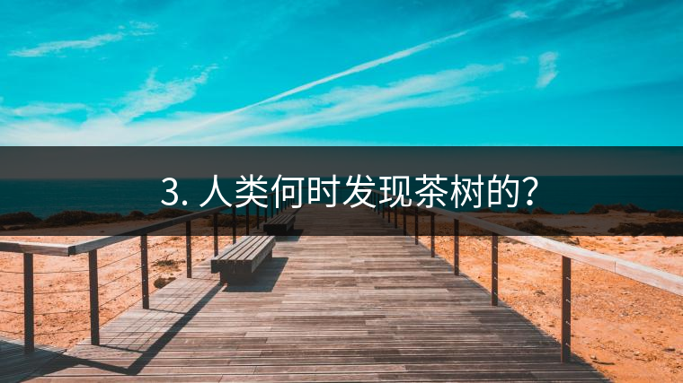 ? 3. 人類何時(shí)發(fā)現(xiàn)茶樹的？