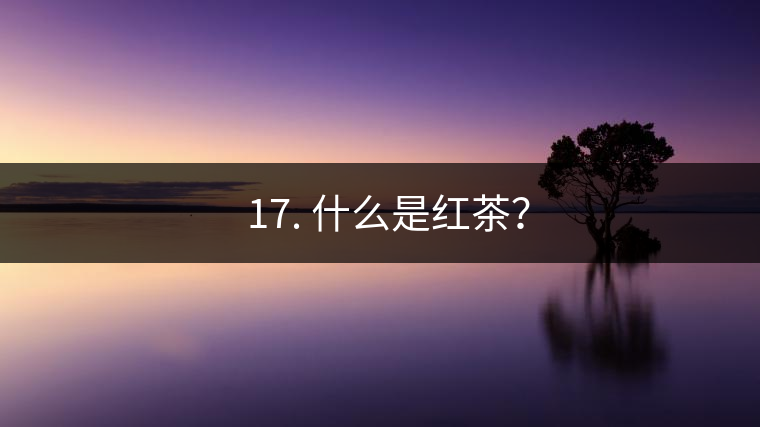 ? 17. 什么是紅茶？