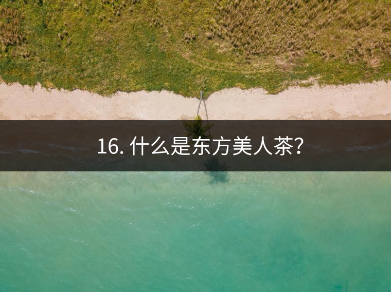 ? 16. 什么是東方美人茶？