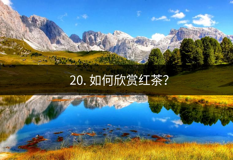 ? 20. 如何欣賞紅茶？
