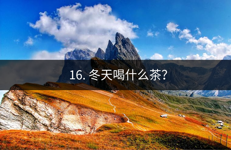 ? 16. 冬天喝什么茶？