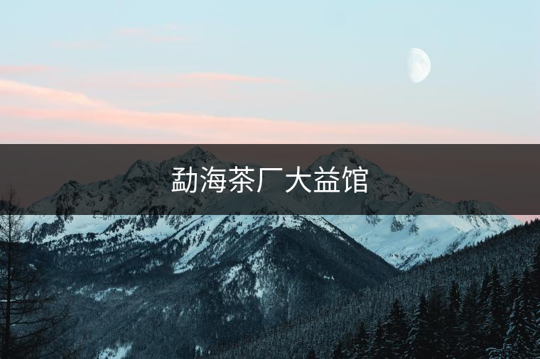 勐海茶廠大益館