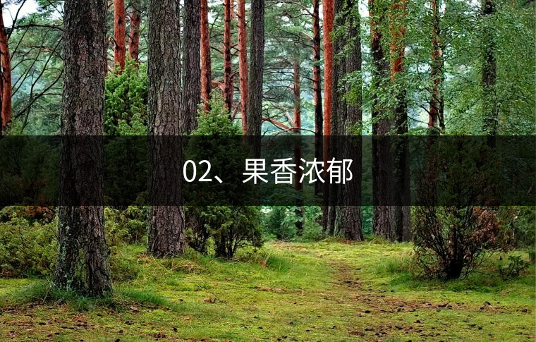 02、果香濃郁