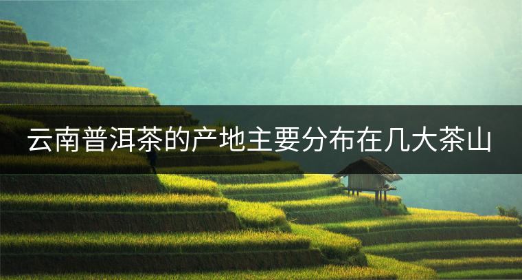 云南普洱茶的產(chǎn)地主要分布在幾大茶山，普洱茶古茶山以瀾滄江為界劃分為