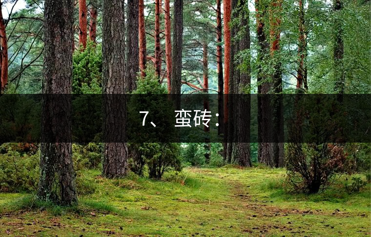 7、 蠻磚：?