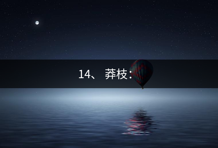 14、 莽枝：?